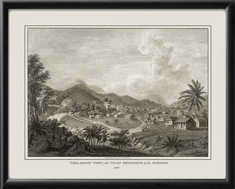 Trelawney Town Jamaica 1801 - Vintage City Maps