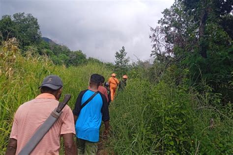 Tim Sar Perluas Pencarian Seorang Nenek Yang Hilang Di Sikka Ntt