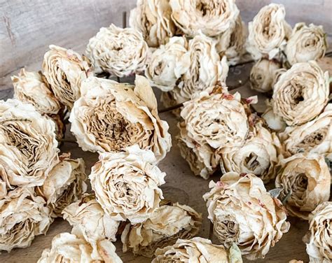 Preserved White Roses Dried White Roses Real Flowers Wedding Table