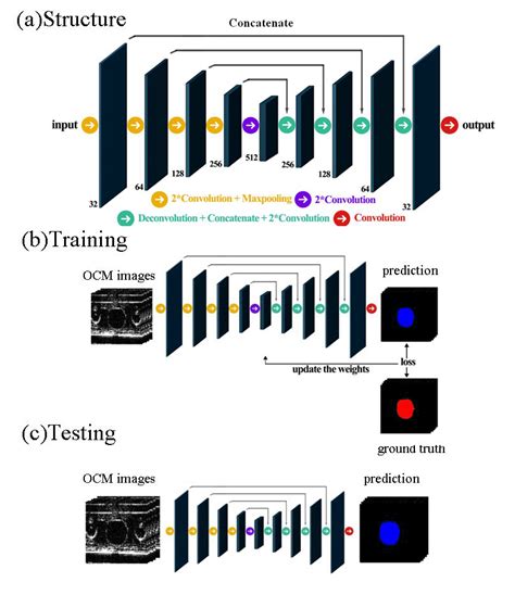 A Structure Of The Neural Network The Feature Maps Are Shown In