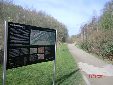 Trekkingbike Von Marl Ber Emscher Park Radweg Tour