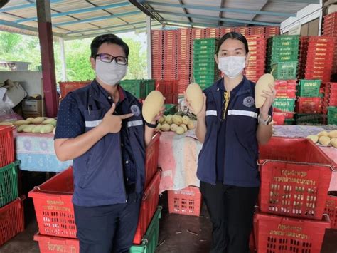 เกษตรกร จสระแก้ว ดึงเทคโนโลยีและนวัตกรรม แอร์บัส ประยุกต์ใช้ลดต้นทุน