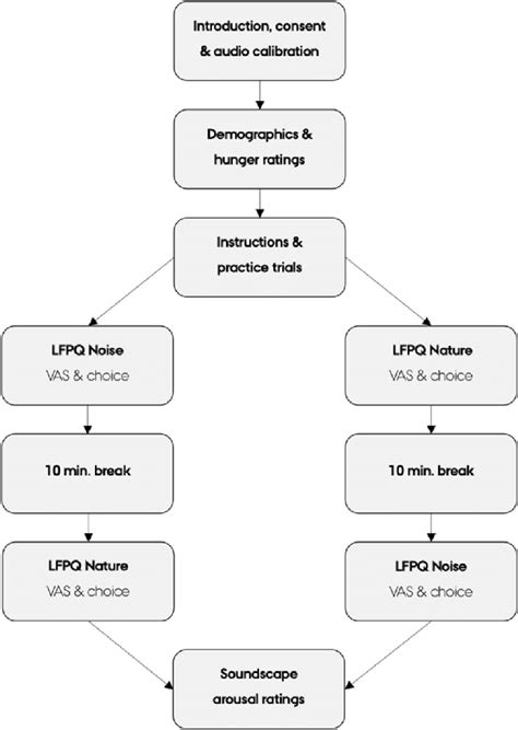 Flowchart Of Experimental Procedure Participants Completed The Lfpq