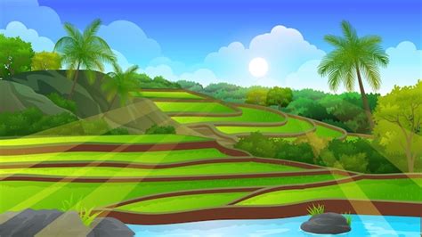 Terrace Rice Fields Vectors And Illustrations For Free Download Freepik