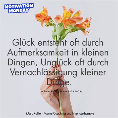 Motivationszitat Von Wilhelm Busch