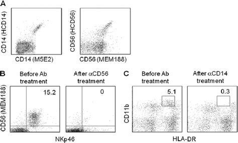 Fig S2 Antibody Mediated Depletion Of Human NK Cells And