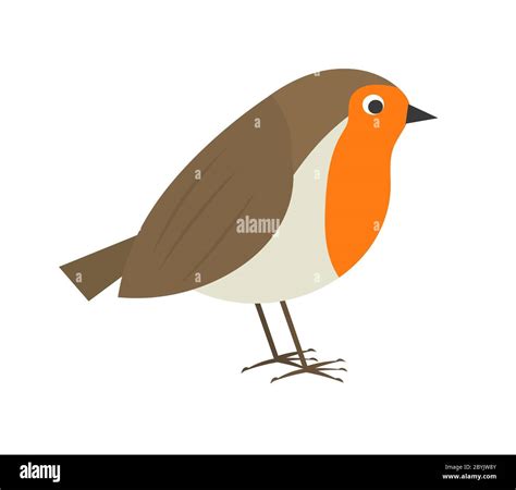 Cute Robin Bird Vector Illustration Stock Vector Image And Art Alamy