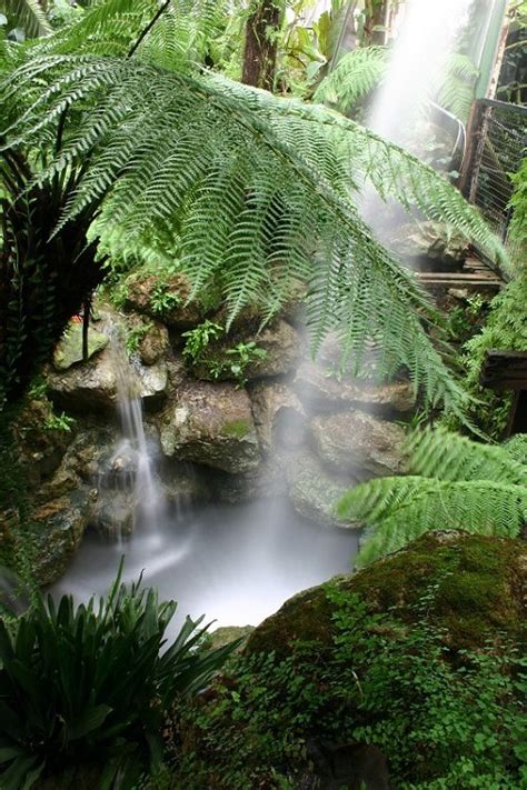 Ventnor Botanic Garden Ventnor Isle Of Wight