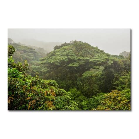 East Urban Home Leinwandbild Jungle Fotodruck Wayfair De