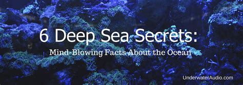 6 Deep Sea Secrets: Mind-Blowing Facts About the Ocean