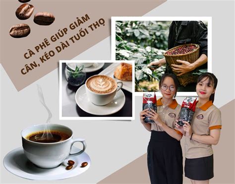 3 Thói Quen Uống Cà Phê Giúp Giảm Cân Kéo Dài Tuổi Thọ Candc Coffee