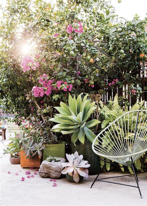 Designer Destination Sunset Magazine Gardens Copy Cat Chic