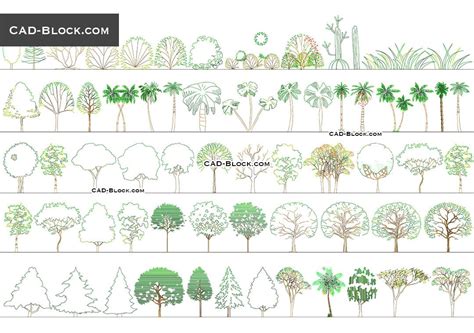 Trees Side View Cad Block Autocad Elevation Drawing Tree Sketches