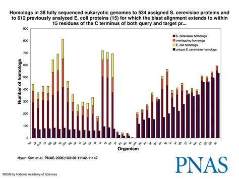 Homologs In Fully Sequenced Eukaryotic Genomes To Assigned S