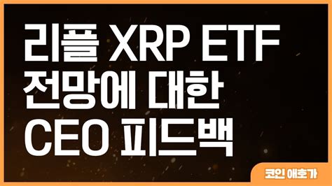 리플 Xrp 비트코인 이더리움 도지코인 리플 Xrp Etf 전망에 대한 Ripple Ceo 피드백 Youtube