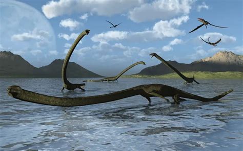 Tanystropheus Dinosaurs Pictures And Facts