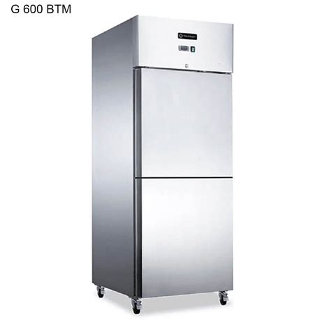 Grey Medium Trufrost G 600 BTM Freezer Double Door At 82000 In Ghaziabad