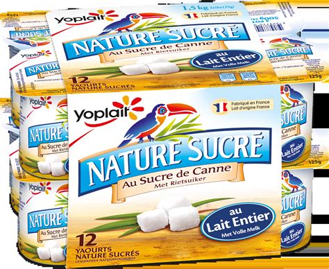 Grossiste Yaourt nature sucré au sucre de canne X12 YOPLAIT