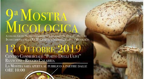 Rizziconi Al Via La Nona Edizione Della Mostra Micologica Rizziconese