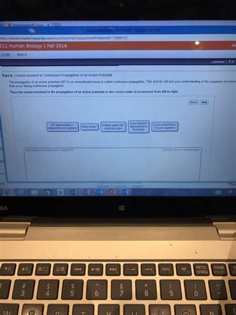 Solved Events involved in Continuous Propagation of an | Chegg.com 