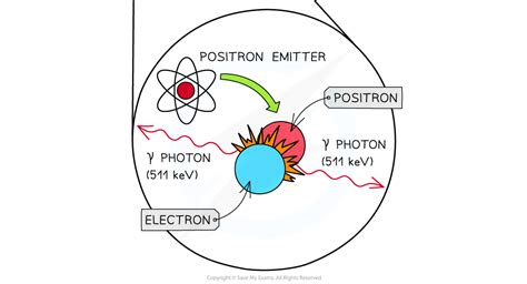 CIE A Level Physics复习笔记24 2 2 Annihilation in PET Scanning 翰林国际教育