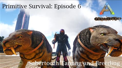 Sabertooth Taming And Breeding Ark Survival Evolved Primitive Plus