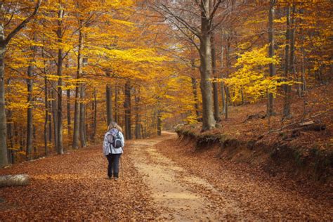 Novedades Viajes Imserso En Destinos De Naturaleza A Descubrir