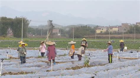 各地抢抓农时 抓好春耕备耕澎湃号·政务澎湃新闻 The Paper