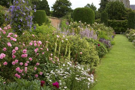 Mixed Border | Garden inspiration, Landscape design, Garden