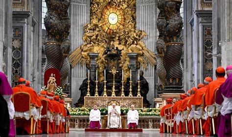 Cardenales Una Misi N De Fuego Con Estas Palabras Y Dos Ejemplos Papa