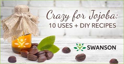 Jojoba Oil Uses Top 10 Uses 3 Diy Recipes