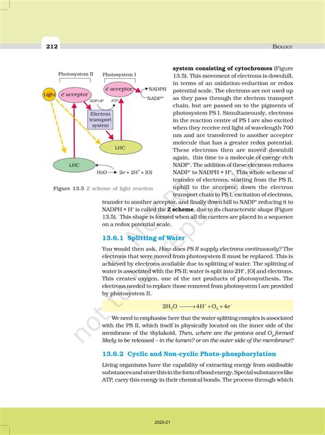 Photosynthesis In Higher Plants NCERT Book Of Class 11 Biology