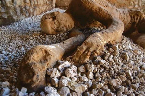 Pompei Il Volto Tragico Delleruzione I Calchi Delle Vittime Tornano