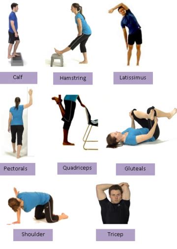 static stretches - Cranfold Physio