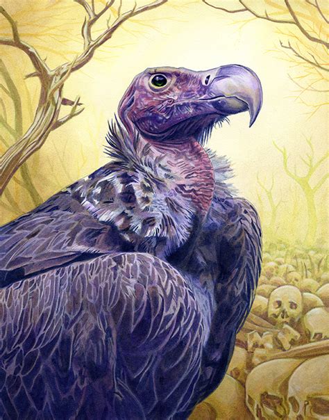 Alan Hawley Illustration Vulture Painting