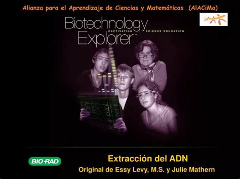 PPT Extracci ó n del ADN Original de Essy Levy M S y Julie Mathern