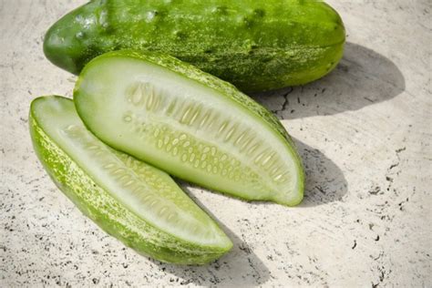 Pickling Cucumber Seed San Diego Seed Company