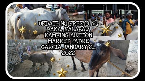 Update Ng Presyo Ng Baka Kalabaw Kambing Sa Auction Market Padre