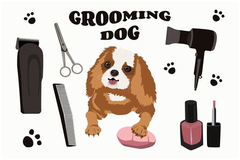 Dog grooming. Set of vector cartoon objects 9922801 Vector Art at Vecteezy