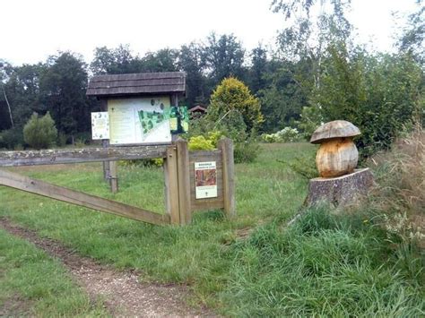 Exposition Visite Guid E De L Arboretum D Etrez Bresse Vallons Le