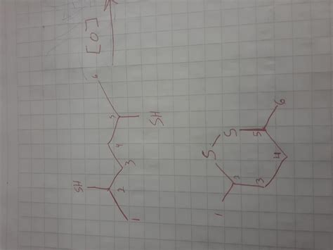 Oxidation Of A Dithiol Such As 2 5 Hexanedithiol Forms A Six Membered