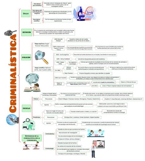 Mapa Conceptual Criminalística Mishel Arevalo Guerrero Udocz