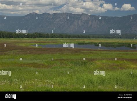 Boundary Creek Wildlife Management Area WMA on the Idaho Canada border ...