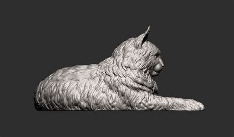 3d File Maine Coon 3d Print Model 🐱・3d Print Design To Download・cults