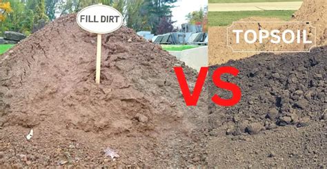 Fill Dirt Vs Topsoil Key Differences And What To Know