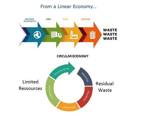 Linear Economy Vs Circular Economy