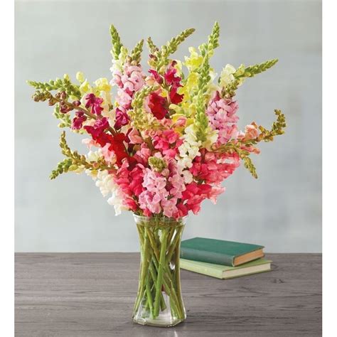 Snapdragon Bouquet Chesterland Floral Boutique - Chesterland, OH ...