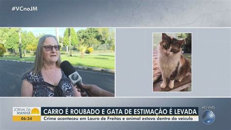 Mulher é Assaltada Tem Gata De Estimação Levada Em Carro E Pede