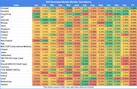 A Year In Returns Novel Investor