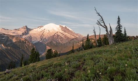 Mt Rainier National Park at Sunrise Stock Image - Image of mount ...